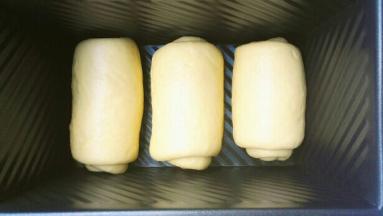 依次做好所有，收口朝下放入土司盒里，盖上保鲜膜，烤箱开启发酵功能，放入烤箱发酵