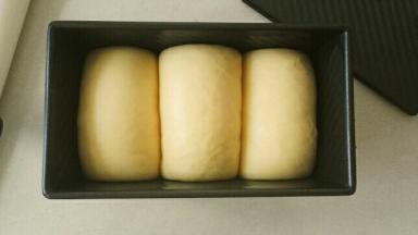 发酵55分钟至八九分满，盖上盖子，烤箱预热，160℃烤35分钟，学厨黑金刚吸热，为了避免上色严重，土司盒上要盖锡纸