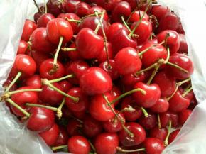 新鲜的樱桃。
