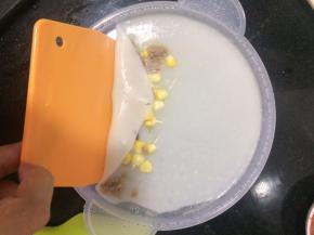 从蒸锅里把班戟盘取出,借助刮板把肠粉卷起来