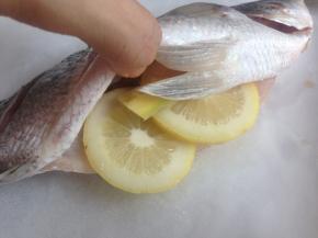 将鲈鱼放在已经铺了锡纸和油纸的烤盘上，两片柠檬和姜片放入到已经腌好的鱼肚里