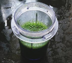 加入100g水用料理机打成菠菜汁，过滤一下