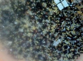 米累混合再淘米器里，冷水淘干净，冷水泡1小时。