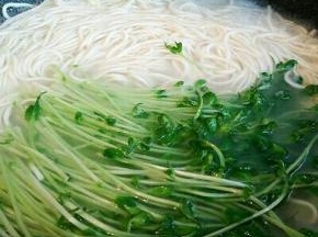 面条买的是碱面，锅里放水，等水周围起泡泡就可以放下去煮了，煮熟捞出，拌点芝麻油，防止粘在一起，