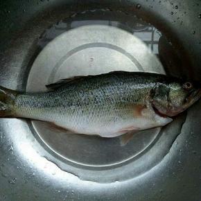 鲈鱼去鱼鳞，去内脏洗干净。