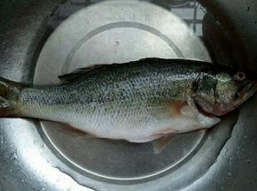 鲈鱼去鱼鳞，去内脏洗干净。