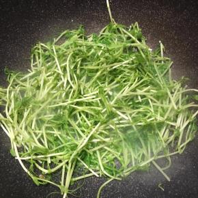 倒入豆苗翻炒几下。