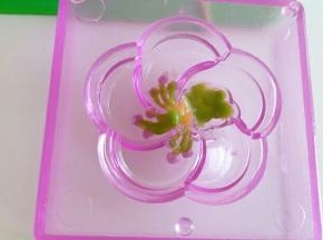 先用调的彩色饼皮填到模具内