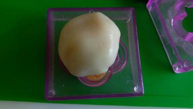 放入有花型的这半阳晨模具内