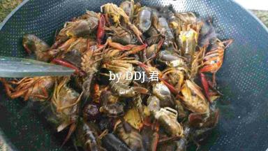 倒虾子进去翻炒