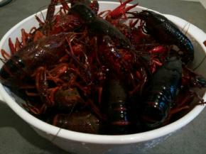 龙虾先用牙刷给它们刷干净。