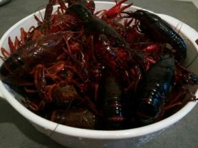 龙虾先用牙刷给它们刷干净。