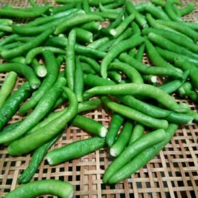  辣椒连着辣椒蒂一起洗，洗干净，控干水分，去辣椒蒂