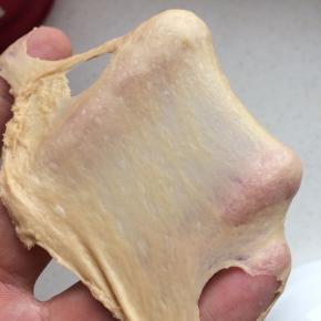 5、	揉至出筋，厚膜即可