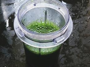 菠菜叶加40g清水打成菠菜汁