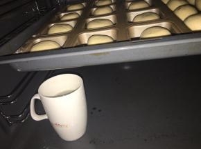 放到32度，湿度百分之75环境下进行二发