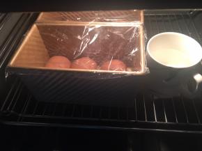 放到32度，湿度百分之75的环境下进行二发