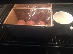 放到32度，湿度百分之75的环境下进行二发