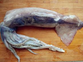 鱿鱼洗净，抓紧颈部，将内脏从鱿鱼筒内掏出，冲洗干净并去除软骨