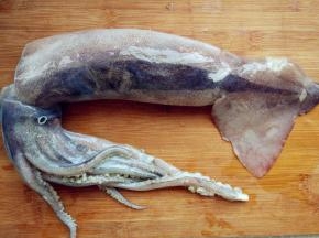 鱿鱼洗净，抓紧颈部，将内脏从鱿鱼筒内掏出，冲洗干净并去除软骨