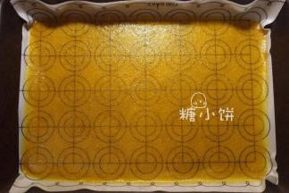 送入烤箱中用70℃热风烤功能低温烘干5个小时