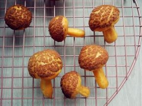 用裱花嘴将打发好的淡奶油从底部中间的小孔挤入，再把长条状的泡芙塞在里面，一个泡芙蘑菇就做好了