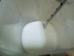 首先把砂糖，和乳酸菌加入面包桶里，先加入240mL的牛奶，就是一袋，搅拌均匀，使糖融化。再继续把另外的纯牛奶加入。，搅拌均匀即可。