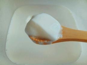 8小时后的新鲜酸奶出炉。