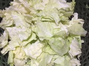 包菜洗净撕小块，去粗茎备用。