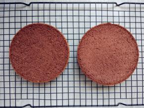 将晾凉的可可戚风蛋糕脱模，切去顶部，分成一薄一厚的两片