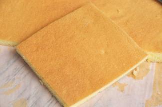 再切割一块小的方形蛋糕片备用。