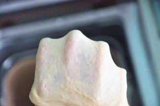 选择揉面程序10分钟面团揉至完全阶段，拉出手套膜，全麦吐司的组织没有普通吐司那么细腻光滑。