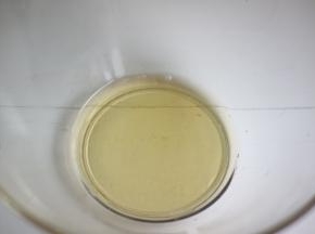 放入微波炉加热至融化