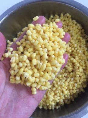 吸足了水份的绿豆，看看是不是一颗颗很饱满啊？
