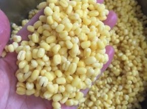 吸足了水份的绿豆，看看是不是一颗颗很饱满啊？
