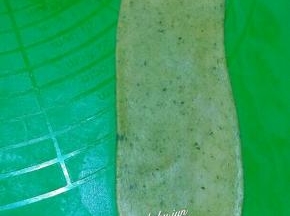 再次擀成长舌状