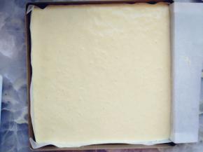 烤盘上铺油纸，将蛋糕糊倒入烤盘上，用抹刀抹匀。最好有L形抹刀，比较均匀