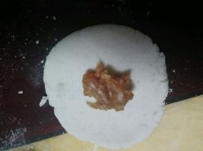 猪肉糜放入上述材料搅拌均匀   然后放一点在皮上  别放多了  红薯粉不像面粉有韧性