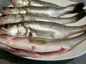 小鲈鱼处理干净，