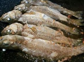  锅里放油，鲈鱼两面煎一下