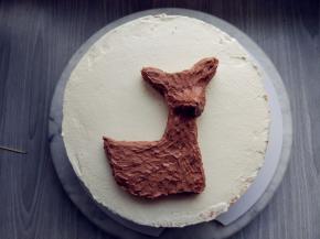 用小毛刷沿皮毛生长方向轻轻刷一下