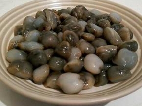 买的新鲜泥螺，清洗干净