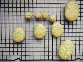 用融化的白巧克力在表面挤出一些小点，撒少许椰蓉，抖掉多余的部分