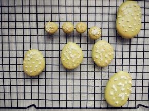 用融化的白巧克力在表面挤出一些小点，撒少许椰蓉，抖掉多余的部分