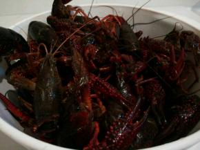 上次买了没有吃过瘾，今天又买了， 有时间的，可以提前买来给养半天再吃。