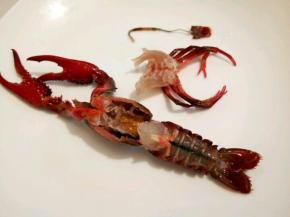  先用干净的牙刷洗刷龙虾的肚子，然后一手抓住龙虾的两次大脚，一手抓住龙虾的八只小脚，轻轻往下一扯，八只小脚和龙虾的腮就扯下来了，再捏住龙虾中间的尾巴，转一圈，往外一拉就把虾肠拉出来了，