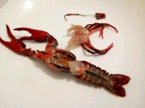  先用干净的牙刷洗刷龙虾的肚子，然后一手抓住龙虾的两次大脚，一手抓住龙虾的八只小脚，轻轻往下一扯，八只小脚和龙虾的腮就扯下来了，再捏住龙虾中间的尾巴，转一圈，往外一拉就把虾肠拉出来了，