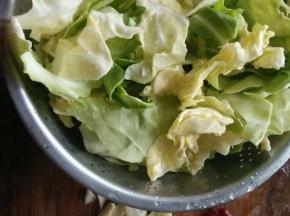 圆白菜撕成小片  去掉硬茎   大蒜切片  干辣椒也切好