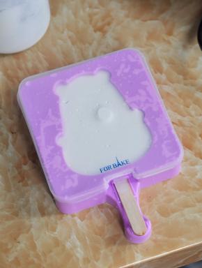 盖上雪糕盖，冷冻几小时将雪糕冻硬。