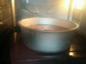 将蛋糕糊缓缓倒入模具中   摔几下震掉大气泡   放入预热好的烤箱中下层  120度40分钟  130度20分钟即可   灵活调整自家烤箱温度哦